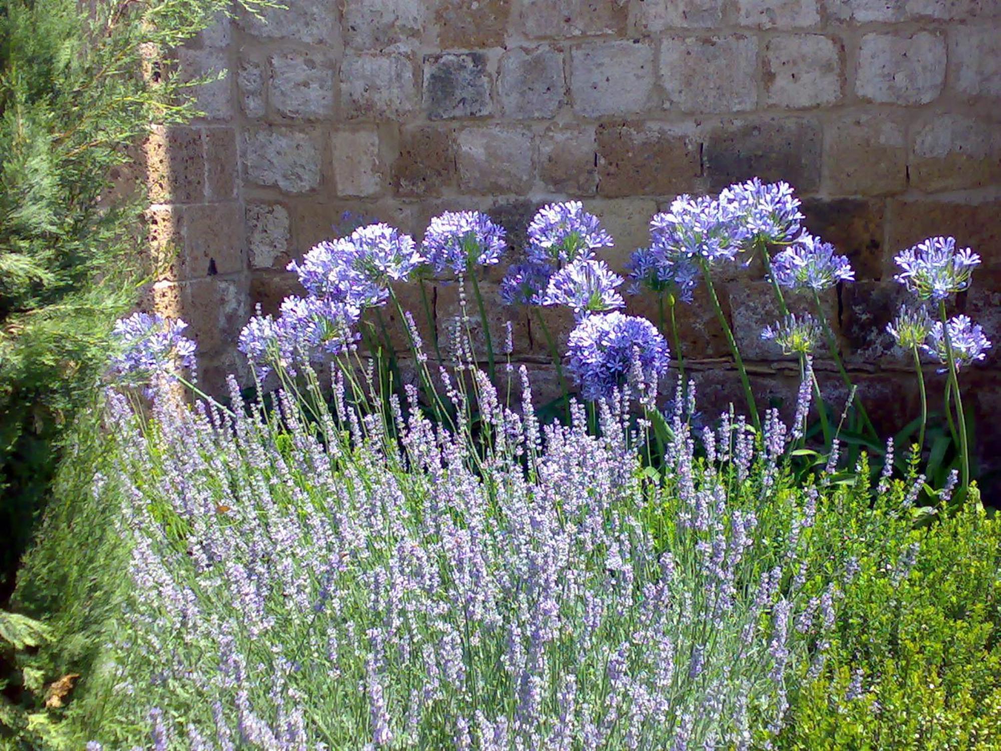 Locanda Palazzone Orvieto Eksteriør bilde