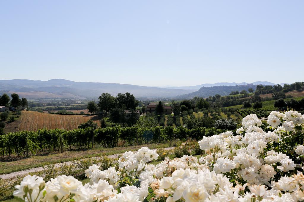 Locanda Palazzone Orvieto Eksteriør bilde